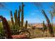 View of the community landscaping from backyard furniture at 11099 E Desert Vista Dr, Scottsdale, AZ 85255
