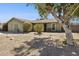 Exterior of a single-Gathering home, featuring mature trees and desert landscaping at 153 W Hillside St, Mesa, AZ 85201