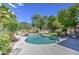 Inviting backyard pool surrounded by lush landscaping, perfect for relaxation and outdoor enjoyment at 1720 W Orchid Ln, Chandler, AZ 85224