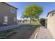 Serene backyard with lush green lawn, mature tree, and rock pathway creates a tranquil outdoor retreat at 31918 N Caspian Way, San Tan Valley, AZ 85143