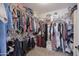 Spacious walk-in closet with ample shelving, racks, and storage space at 31918 N Caspian Way, San Tan Valley, AZ 85143