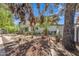 Spacious backyard featuring desert landscaping, a covered patio, and ample room for outdoor enjoyment at 3932 W Rene Dr, Chandler, AZ 85226