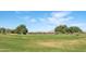 Expansive view of the golf course with lush green grass, mature trees, and distant mountain views at 42370 W Hillman Dr, Maricopa, AZ 85138