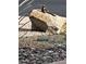 Desert bird perched on a rock amidst natural gravel and sparse vegetation outside at 6372 W Hill Ln, Glendale, AZ 85310