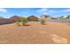 Large backyard with gravel landscaping, offering ample space and privacy with block wall fencing at 4053 N 308Th Ln, Buckeye, AZ 85396