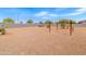 Expansive backyard area, featuring gravel, landscaping, and a block wall, offering a private outdoor space at 4053 N 308Th Ln, Buckeye, AZ 85396