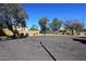 Spacious and quiet street view with mature trees and well-maintained homes at 13390 N 95Th Way, Scottsdale, AZ 85260