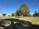 Expansive green park area with mature trees providing ample shade at 1619 E Del Rio Dr, Tempe, AZ 85282