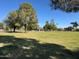 Expansive park view with lush green grass, mature trees, and recreational facilities, perfect for outdoor activities and leisure at 1619 E Del Rio Dr, Tempe, AZ 85282