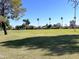 Large grassy field bordered by mature trees and a clear blue sky at 1619 E Del Rio Dr, Tempe, AZ 85282