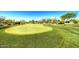 Practice your short game on this community putting green featuring manicured turf and adjacent walking path at 1903 N Lynch --, Mesa, AZ 85207