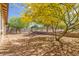 Expansive backyard featuring desert landscaping and a view of a mature, flowering tree providing ample shade at 2167 W Ethan Ct, San Tan Valley, AZ 85144