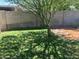 Lawn area featuring a small tree, showing potential for outdoor activities and shaded relaxation at 2167 W Ethan Ct, San Tan Valley, AZ 85144