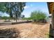 Expansive backyard with mature trees and privacy fencing, creating a serene outdoor space at 2167 W Ethan Ct, San Tan Valley, AZ 85144