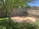Backyard featuring a concrete patio, tree, and well-maintained lawn area, perfect for outdoor seating at 2167 W Ethan Ct, San Tan Valley, AZ 85144