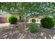 The front yard features mature trees, manicured bushes and desert landscaping at 2167 W Ethan Ct, San Tan Valley, AZ 85144