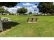 Expansive green common area featuring benches and picnic tables with palm trees and a partly cloudy sky at 3023 W Calavar Rd, Phoenix, AZ 85053