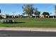 A beautiful common area is presented, showing green grass, mature trees, and carports at 3023 W Calavar Rd, Phoenix, AZ 85053