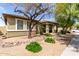 Well-maintained home exterior with desert landscaping and mature trees at 3343 E Ivanhoe St, Gilbert, AZ 85295