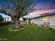 Lovely home featuring a large, mature tree in the front yard and a well-maintained grassy lawn at 3802 W Rue De Lamour Ave, Phoenix, AZ 85029