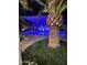 Backyard oasis with a sparkling pool, tropical landscaping, and ambient lighting at 45176 W Alamendras St, Maricopa, AZ 85139