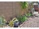 Side yard featuring planters and drought-tolerant vegetation at 45176 W Alamendras St, Maricopa, AZ 85139