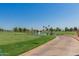 Scenic view of the golf course with a central pond, fountain, and neatly manicured green at 5140 S Tanglewood Dr, Chandler, AZ 85248
