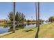 Serene pond surrounded by green grass and palm trees reflects the sky and nearby homes at 5140 S Tanglewood Dr, Chandler, AZ 85248
