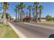 A view down the street with palm trees and flags indicating the community's patriotic spirit at 5140 S Tanglewood Dr, Chandler, AZ 85248