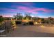 Landscaped backyard with desert plants and a fountain, creating a serene outdoor retreat at 8661 E Ivy St, Mesa, AZ 85207