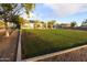 Expansive backyard featuring green grass and mature trees under a blue sky at 9732 N Penworth Dr, Casa Grande, AZ 85122