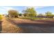 Large backyard with a dirt ground and trees in a rural setting at 9732 N Penworth Dr, Casa Grande, AZ 85122
