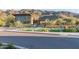 Clubhouse entrance with lush front yard landscaping, sidewalk, and mountain views at 9807 S 11Th St, Phoenix, AZ 85042