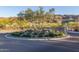 Landscaped roundabout at the community entrance with desert plants and mountain views at 9807 S 11Th St, Phoenix, AZ 85042