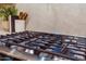 Close-up of a gas range with blue flames, perfect for cooking gourmet meals in this modern kitchen at 8215 E Virginia Ave, Scottsdale, AZ 85257