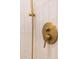 Modern shower is finished with gold hardware and a handheld sprayer at 8215 E Virginia Ave, Scottsdale, AZ 85257