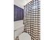 Close-up of toilet and gray and white checkered shower curtain in bathroom at 15814 N 62Nd Cir, Glendale, AZ 85306