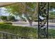 View from the front porch of the street, mature trees, and adjacent homes at 17885 N 99Th Dr, Sun City, AZ 85373