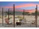 Cozy backyard fire pit area with string lights, comfortable seating, and desert landscaping for outdoor relaxation at 20041 W Pasadena Ave, Litchfield Park, AZ 85340