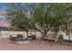 Relaxing outdoor seating area with comfortable chairs, a swing and decorative birdcages under a mature shade tree at 20041 W Pasadena Ave, Litchfield Park, AZ 85340