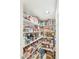 Organized walk-in pantry with multiple shelves, perfect for efficient storage of food and household items at 20041 W Pasadena Ave, Litchfield Park, AZ 85340