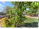 Landscaped backyard with green grass, mature trees, and a partial view of a playset at 21470 E Orchard Ln, Queen Creek, AZ 85142