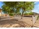 A large, sandy backyard with mature trees, a white picket fence, and access to green spaces at 21470 E Orchard Ln, Queen Creek, AZ 85142