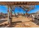 Large backyard featuring mature trees and a covered patio, perfect for outdoor enjoyment at 2306 E Burgess Ln, Phoenix, AZ 85042