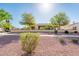 View of the property, highlighting the lush desert landscaping and stucco exterior of the single-story home at 23216 N Gaviota Dr, Sun City West, AZ 85375
