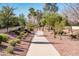 A paved neighborhood walking path winds through desert landscaping, trees, and shrubbery at 23216 N Gaviota Dr, Sun City West, AZ 85375