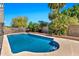 Backyard swimming pool featuring secure fencing and a bright sunlit patio, surrounded by landscaping at 2741 S Brooks --, Mesa, AZ 85202