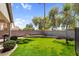 Well-maintained backyard featuring a lush lawn, mature landscaping, privacy wall, and ample space for outdoor activities and relaxation at 3443 E Thornton Ave, Gilbert, AZ 85297