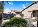 Backyard pool featuring a rock waterfall and a basketball hoop, surrounded by a lush garden and privacy wall at 3443 E Thornton Ave, Gilbert, AZ 85297