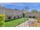 Backyard featuring lush green grass, mature landscaping, privacy wall and charming walkway at 4027 W Copperleaf Dr, San Tan Valley, AZ 85144